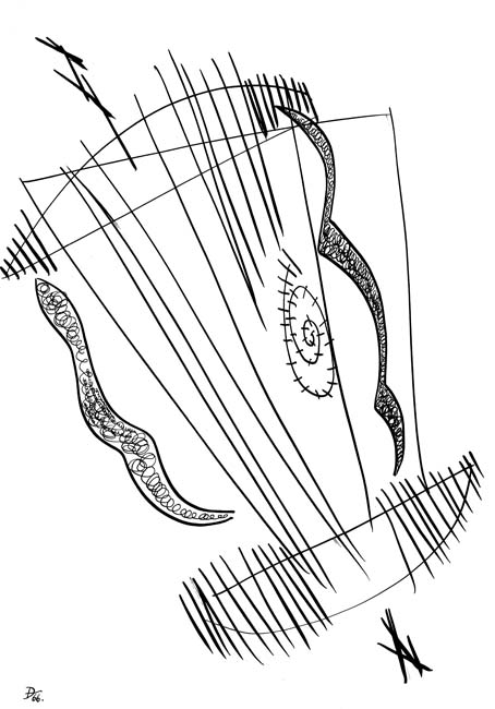 p66_11